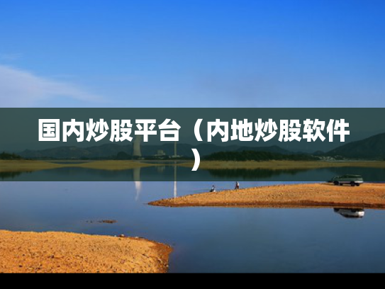 国内炒股平台（内地炒股软件）