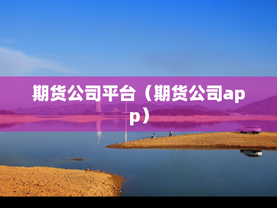 期货公司平台（期货公司app）