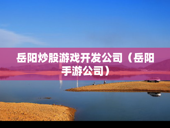 岳阳炒股游戏开发公司（岳阳手游公司）