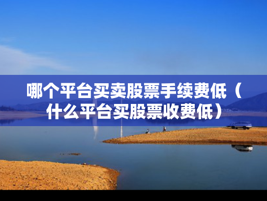 哪个平台买卖股票手续费低（什么平台买股票收费低）