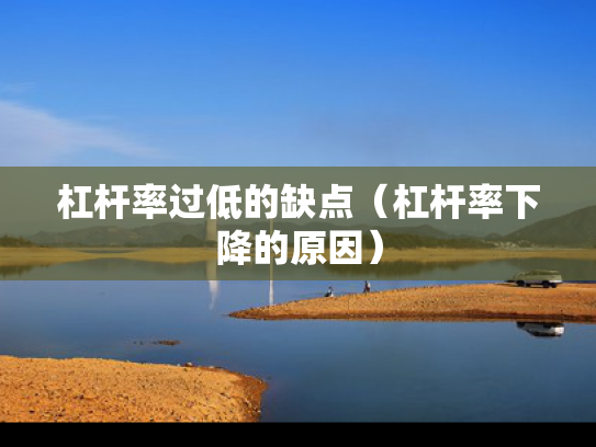 杠杆率过低的缺点（杠杆率下降的原因）