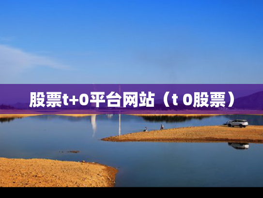 股票t+0平台网站（t 0股票）