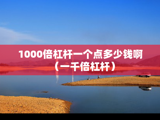 1000倍杠杆一个点多少钱啊（一千倍杠杆）