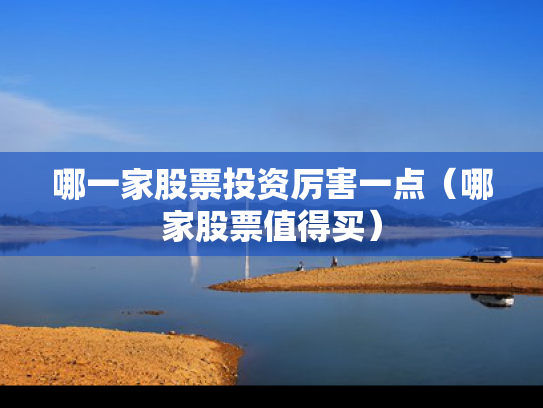 哪一家股票投资厉害一点（哪家股票值得买）