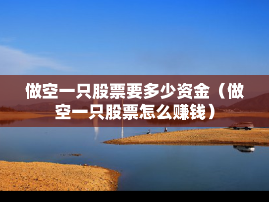 做空一只股票要多少资金（做空一只股票怎么赚钱）