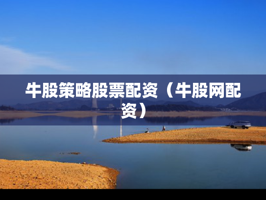 牛股策略股票配资（牛股网配资）