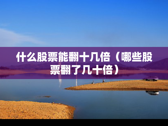 什么股票能翻十几倍（哪些股票翻了几十倍）