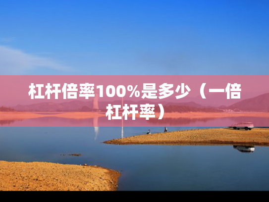 杠杆倍率100%是多少（一倍杠杆率）
