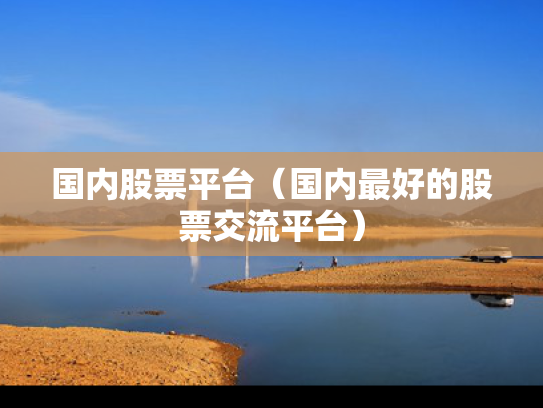 国内股票平台（国内最好的股票交流平台）