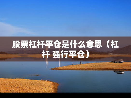 股票杠杆平仓是什么意思（杠杆 强行平仓）