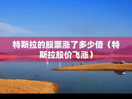 特斯拉的股票涨了多少倍（特斯拉股价飞涨）
