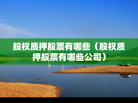 股权质押股票有哪些（股权质押股票有哪些公司）