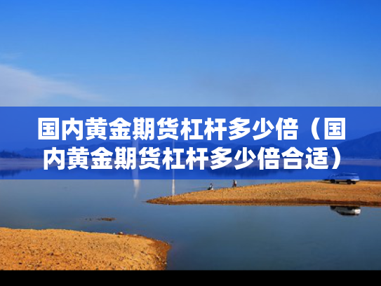 国内黄金期货杠杆多少倍（国内黄金期货杠杆多少倍合适）