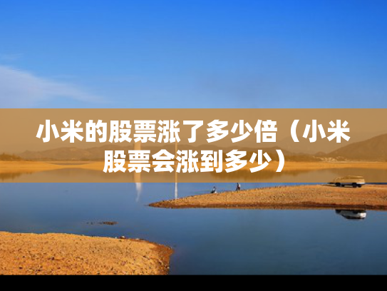 小米的股票涨了多少倍（小米股票会涨到多少）