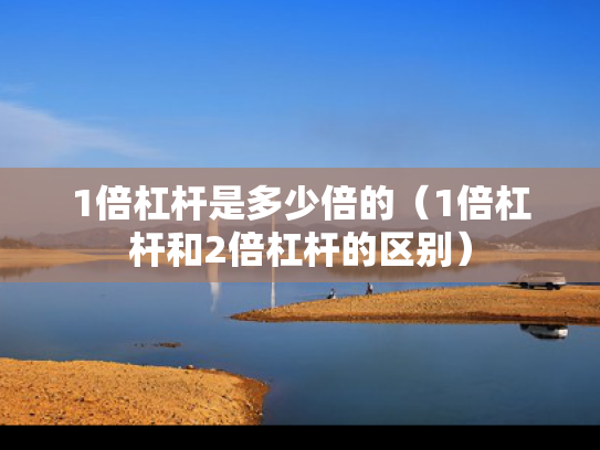 1倍杠杆是多少倍的（1倍杠杆和2倍杠杆的区别）