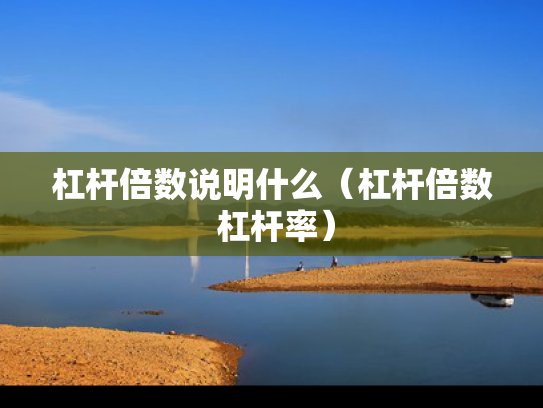 杠杆倍数说明什么（杠杆倍数 杠杆率）
