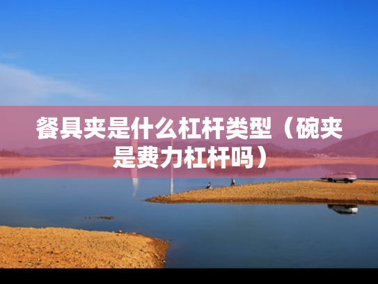 餐具夹是什么杠杆类型（碗夹是费力杠杆吗）