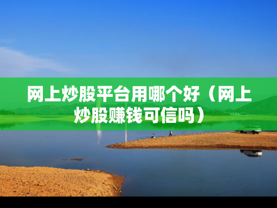 网上炒股平台用哪个好（网上炒股赚钱可信吗）