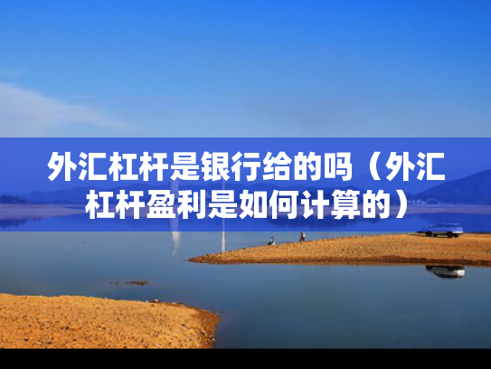 外汇杠杆是银行给的吗（外汇杠杆盈利是如何计算的）