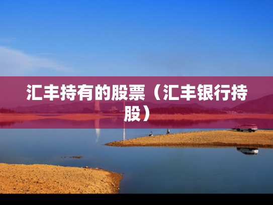 汇丰持有的股票（汇丰银行持股）