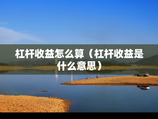 杠杆收益怎么算（杠杆收益是什么意思）