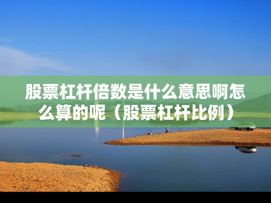 股票杠杆倍数是什么意思啊怎么算的呢（股票杠杆比例）