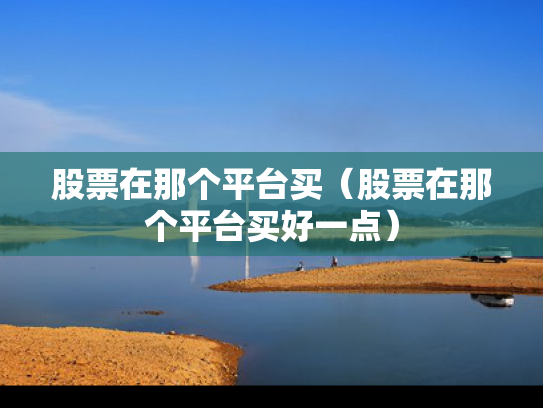 股票在那个平台买（股票在那个平台买好一点）