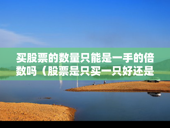 买股票的数量只能是一手的倍数吗（股票是只买一只好还是多买几只好）
