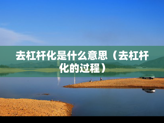 去杠杆化是什么意思（去杠杆化的过程）