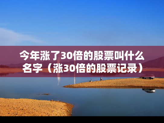 今年涨了30倍的股票叫什么名字（涨30倍的股票记录）
