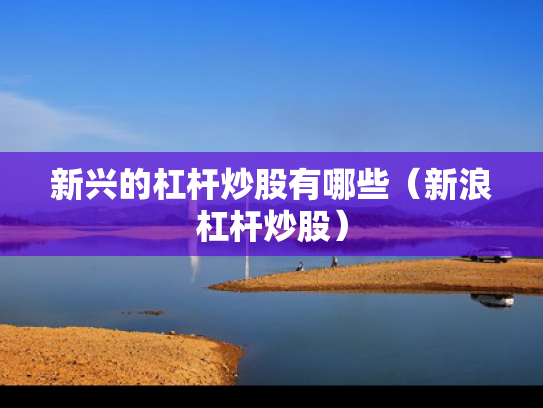 新兴的杠杆炒股有哪些（新浪杠杆炒股）