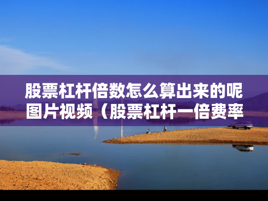 股票杠杆倍数怎么算出来的呢图片视频（股票杠杆一倍费率多少）