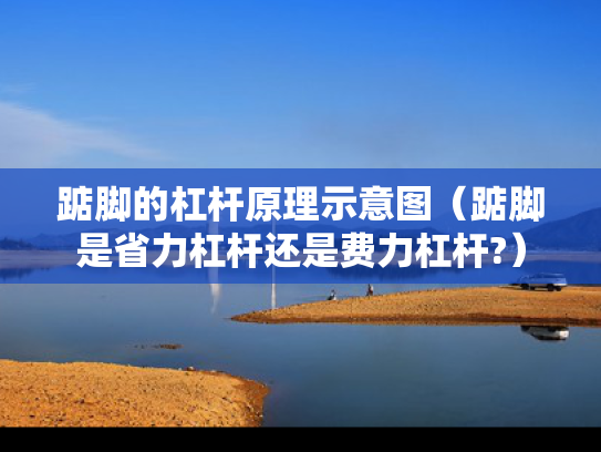 踮脚的杠杆原理示意图（踮脚是省力杠杆还是费力杠杆?）