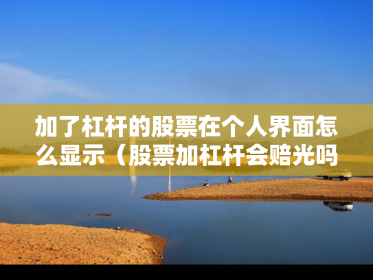 加了杠杆的股票在个人界面怎么显示（股票加杠杆会赔光吗）