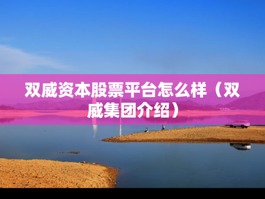 双威资本股票平台怎么样（双威集团介绍）