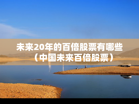 未来20年的百倍股票有哪些（中国未来百倍股票）