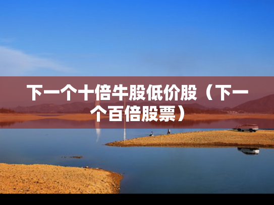 下一个十倍牛股低价股（下一个百倍股票）