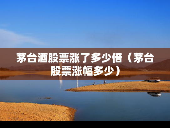 茅台酒股票涨了多少倍（茅台股票涨幅多少）