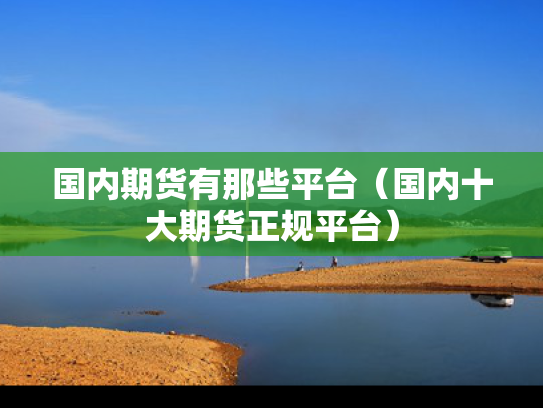 国内期货有那些平台（国内十大期货正规平台）