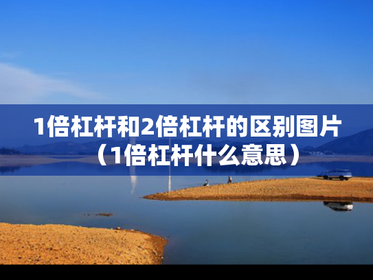 1倍杠杆和2倍杠杆的区别图片（1倍杠杆什么意思）