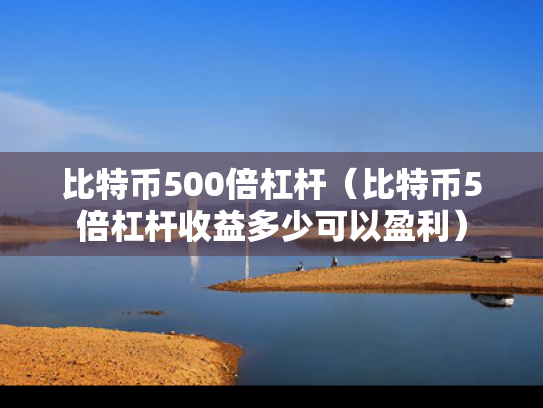 比特币500倍杠杆（比特币5倍杠杆收益多少可以盈利）