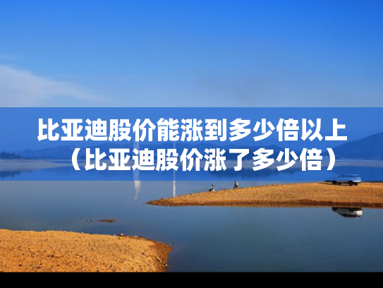 比亚迪股价能涨到多少倍以上（比亚迪股价涨了多少倍）