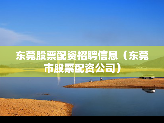东莞股票配资招聘信息（东莞市股票配资公司）