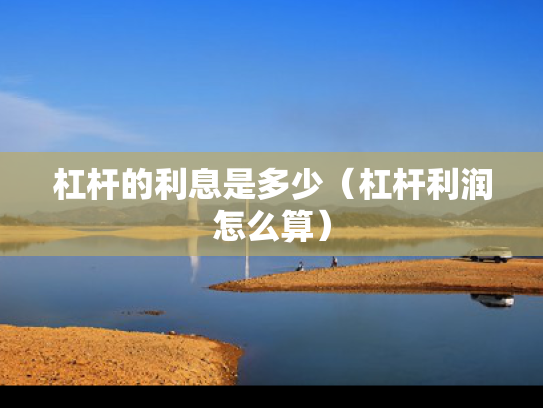 杠杆的利息是多少（杠杆利润怎么算）