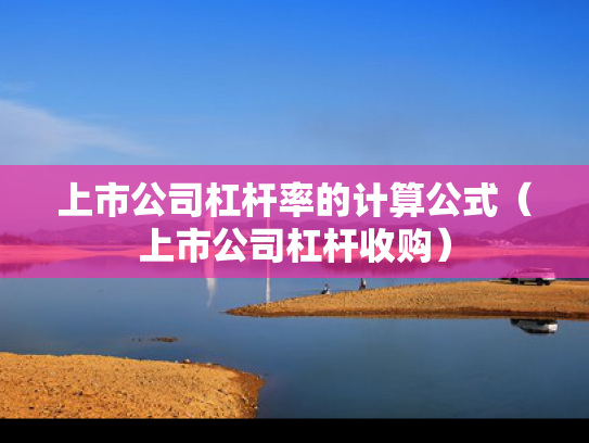 上市公司杠杆率的计算公式（上市公司杠杆收购）