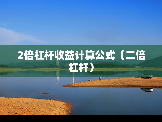 2倍杠杆收益计算公式（二倍杠杆）
