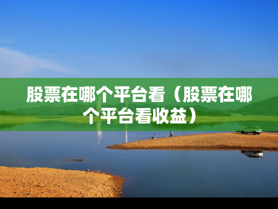 股票在哪个平台看（股票在哪个平台看收益）