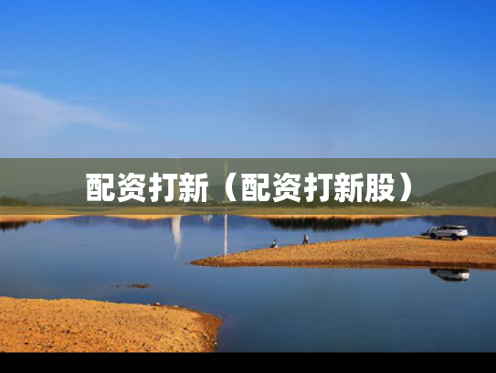 配资打新（配资打新股）