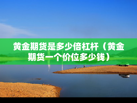 黄金期货是多少倍杠杆（黄金期货一个价位多少钱）
