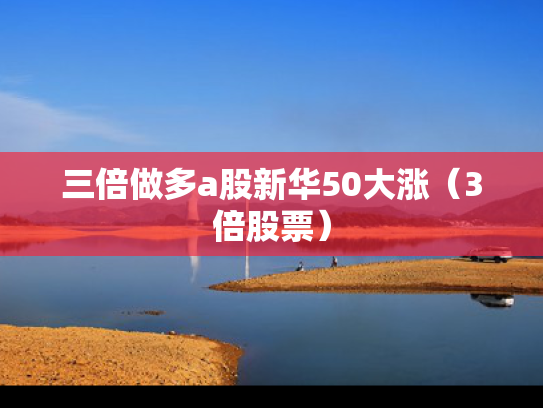 三倍做多a股新华50大涨（3倍股票）